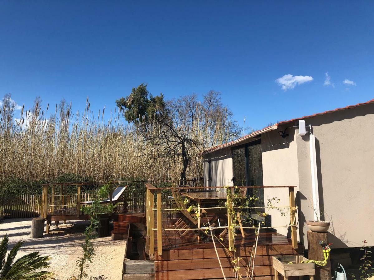 Villa Tiny House Sur La Cote D'Azur Hyères Esterno foto