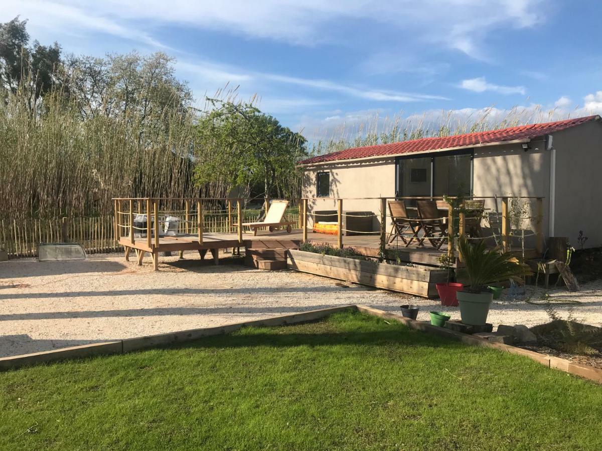 Villa Tiny House Sur La Cote D'Azur Hyères Esterno foto